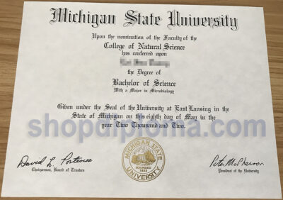 Michigan State University Bachelor of Science Degree