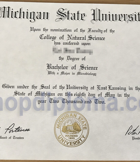 Michigan State University Bachelor of Science Degree