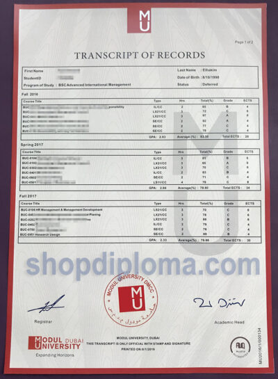 Modul university BSC Transcript