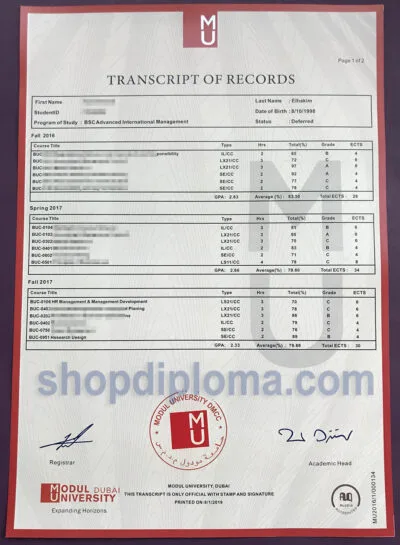 Modul university BSC Transcript
