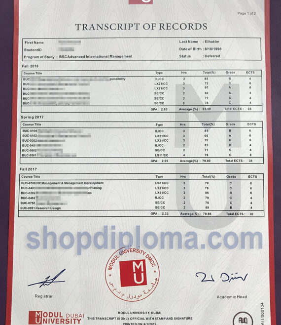 Modul university BSC Transcript