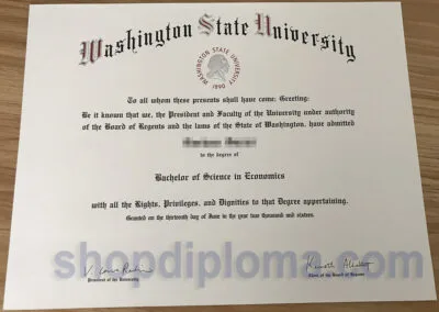 Washington State University Bachelor of Science in Economics Diploma