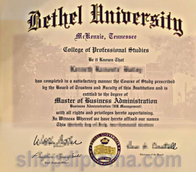 The bethel university master of business administration degree