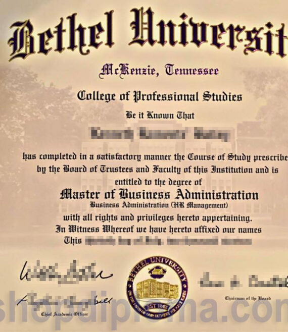 The bethel university master of business administration degree