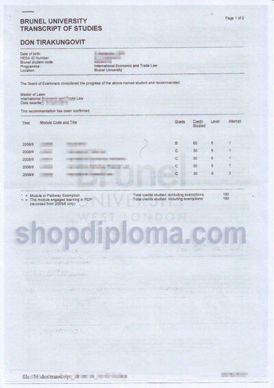 Brunel university London transcript