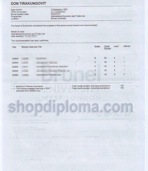 Brunel university London transcript