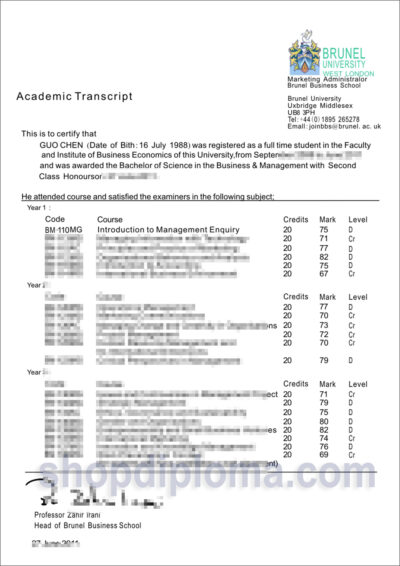 Brunel university west London academic transcript