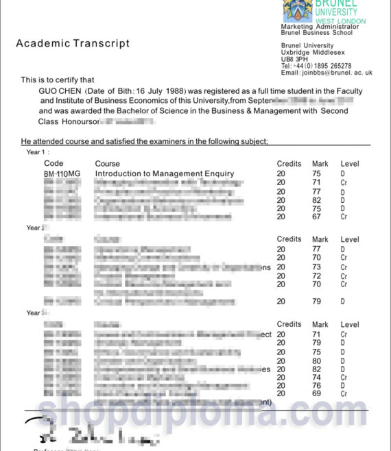 Brunel university west London academic transcript
