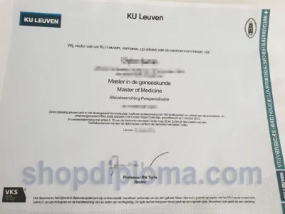 Ku Leuven Master Diploma