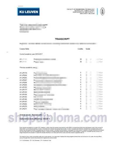 Ku Leuven Transcript