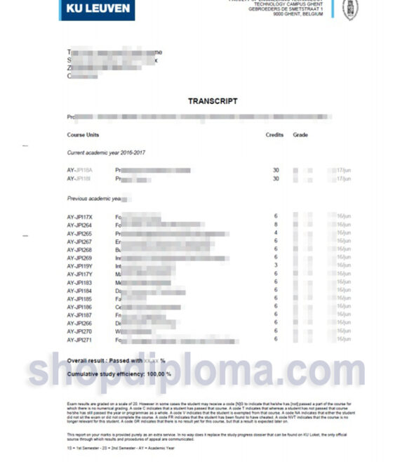 Ku Leuven Transcript