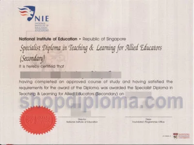 NTU NIE(National Institute of Education)republic of Singapore diploma in teaching learning for allied educations