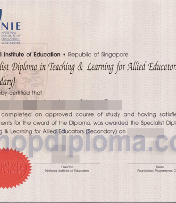 NTU NIE(National Institute of Education)republic of Singapore diploma in teaching learning for allied educations