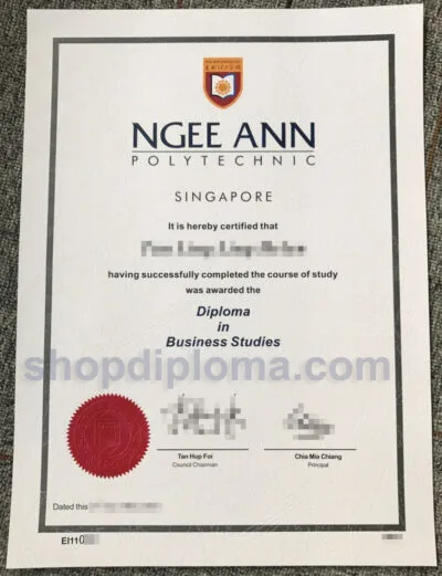Ngee Ann Polytechnic singapore the diploma in business studies