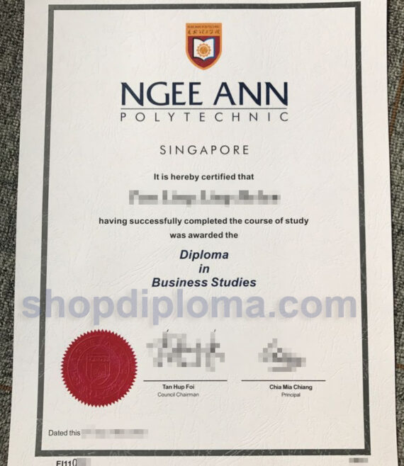 Ngee Ann Polytechnic singapore the diploma in business studies