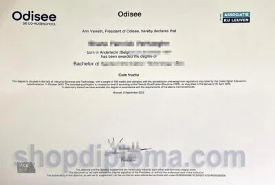 Odisee DE CO-HOGESCHOOL Bachelor degree