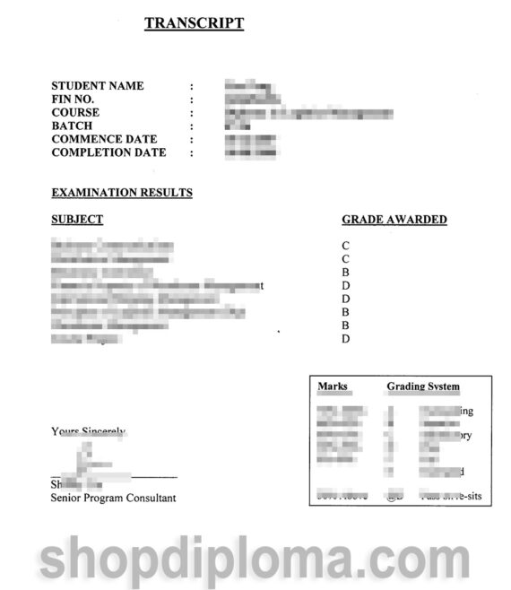 Singapore Institute of Materials Management transcript