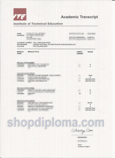 Singapore nitec ITE(Institute of Technical Education Singapore) academic transcript