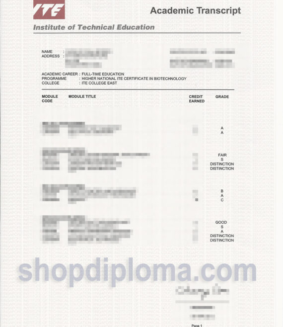 Singapore nitec ITE(Institute of Technical Education Singapore) academic transcript