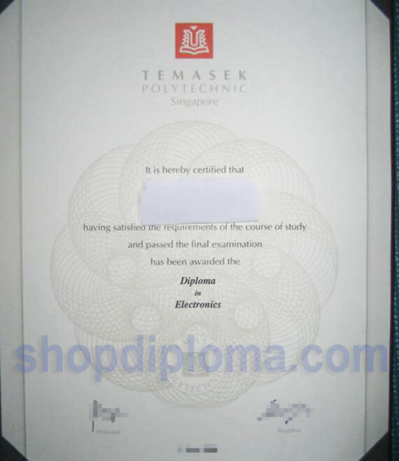 Temasek polytechnic Singapore the diploma in electronics