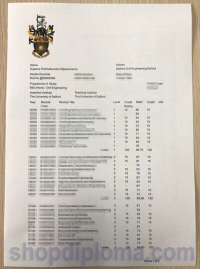 The university of Salford transcript academic
