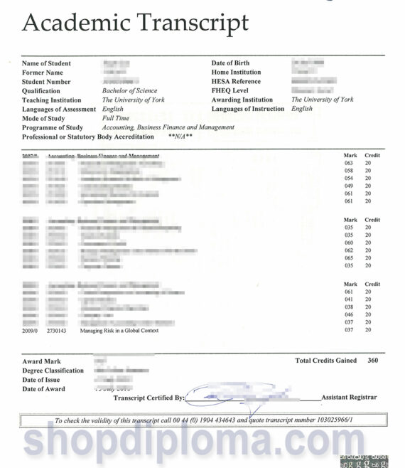 The university of york academic transcript