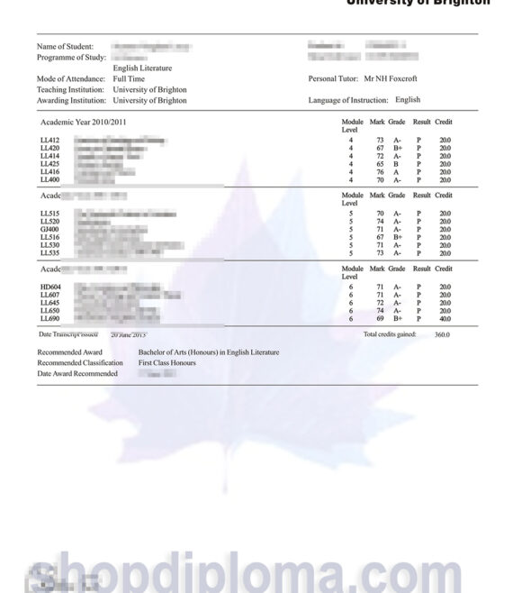 University of Brighton transcript