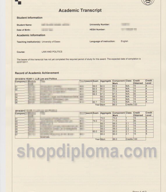 University of Essex academic transcript