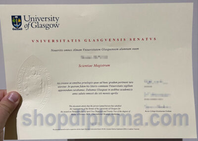 University of Glasgow the degree of master of science international strategic marketing