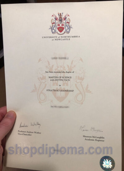 University of Northumbria the degree of master of science in strategic leadership