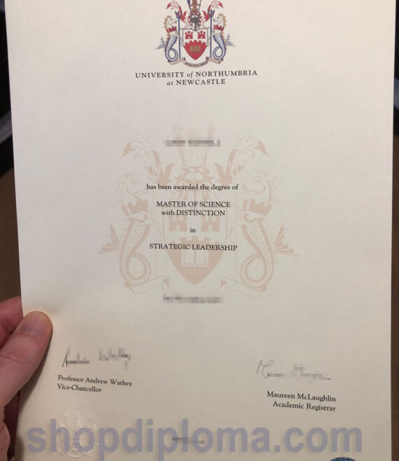 University of Northumbria the degree of master of science in strategic leadership