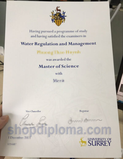 University of Surrey master of science