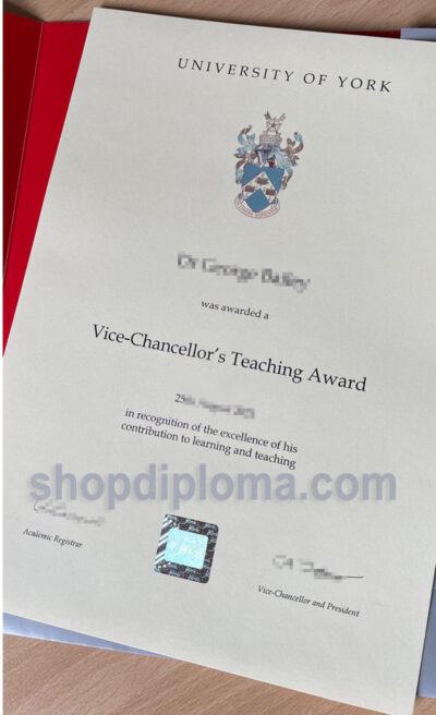 University of York vice chancellor's teaching award