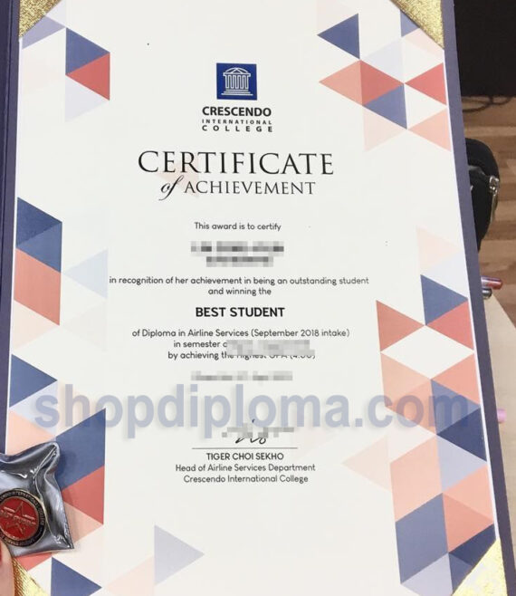 crescendo international college certificate of achievement diploma in airline services