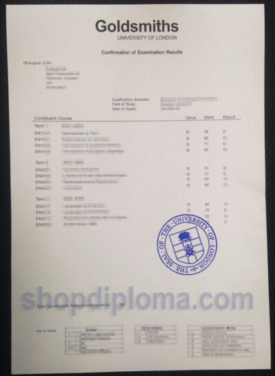goldsmiths university of London transcript