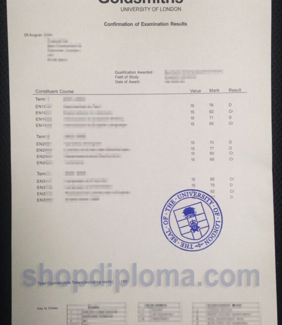 goldsmiths university of London transcript