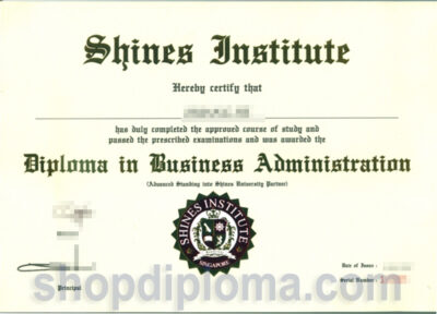 shines institute the diploma in business administration