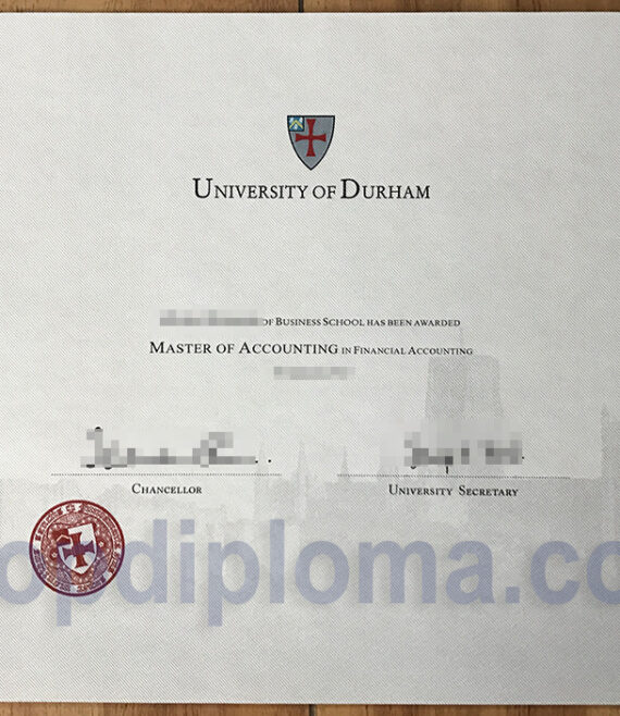 university of Durham the degree of master in financial accounting