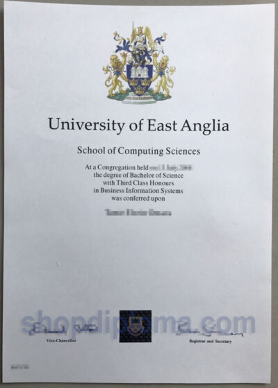 university of East Anglia the degree of bachelor of science in business information systems