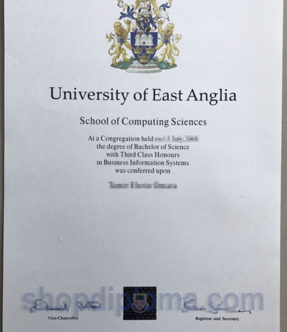 university of East Anglia the degree of bachelor of science in business information systems
