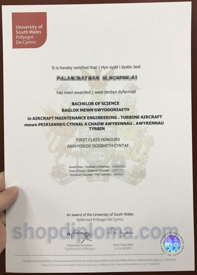 university of South Wales bachelor of science in aircraft maintenance engineering