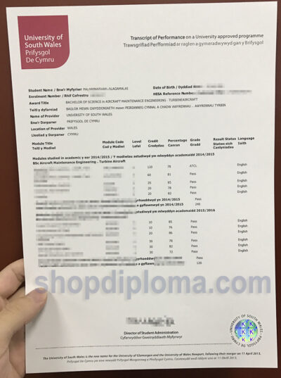 university of South Wales transcript