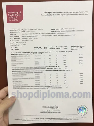 university of South Wales transcript