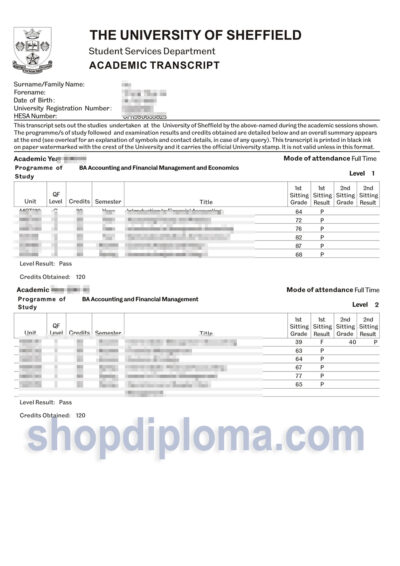 university of sheffield academic transcript